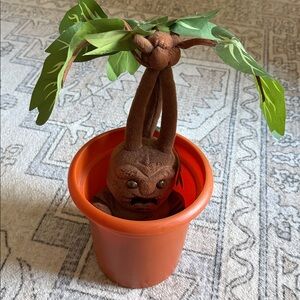 Barnes & Nobles Crying Mandrake